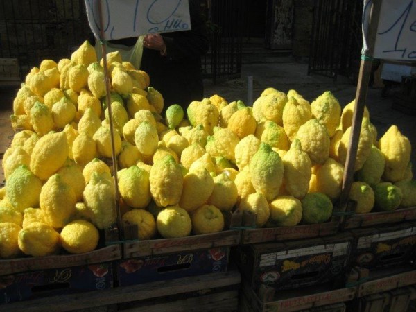 trav-sicilylemons