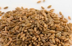 foodmenuSimoneFreekeh