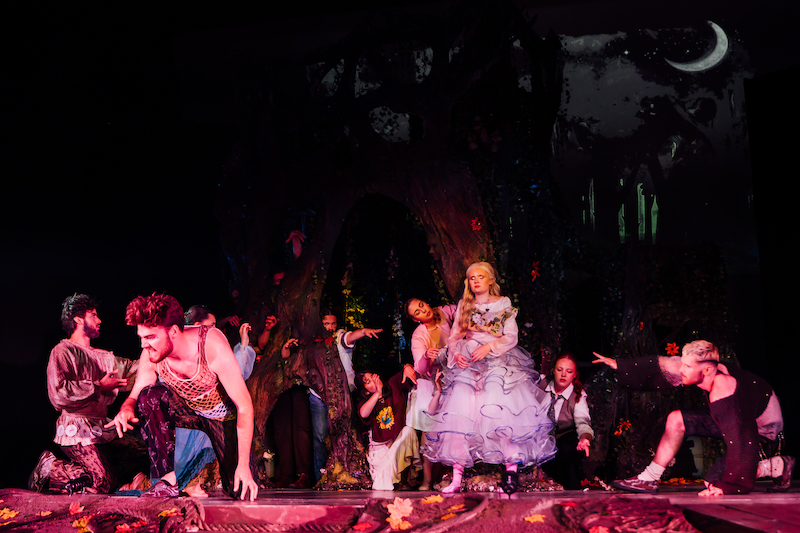 Reviews Fine Times Recorder